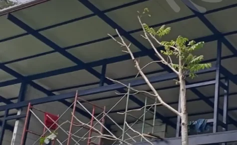 Heredia Project – Installing roof and electrical piping